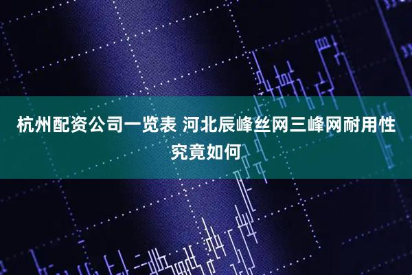 杭州配资公司一览表 河北辰峰丝网三峰网耐用性究竟如何